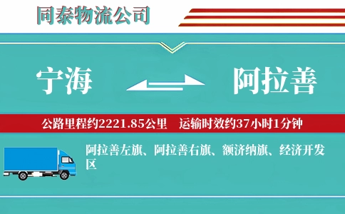 宁海到阿拉善物流公司