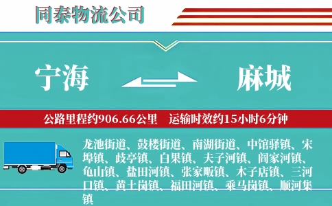 宁海到麻城物流公司