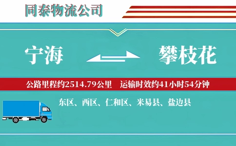 宁海到攀枝花物流公司